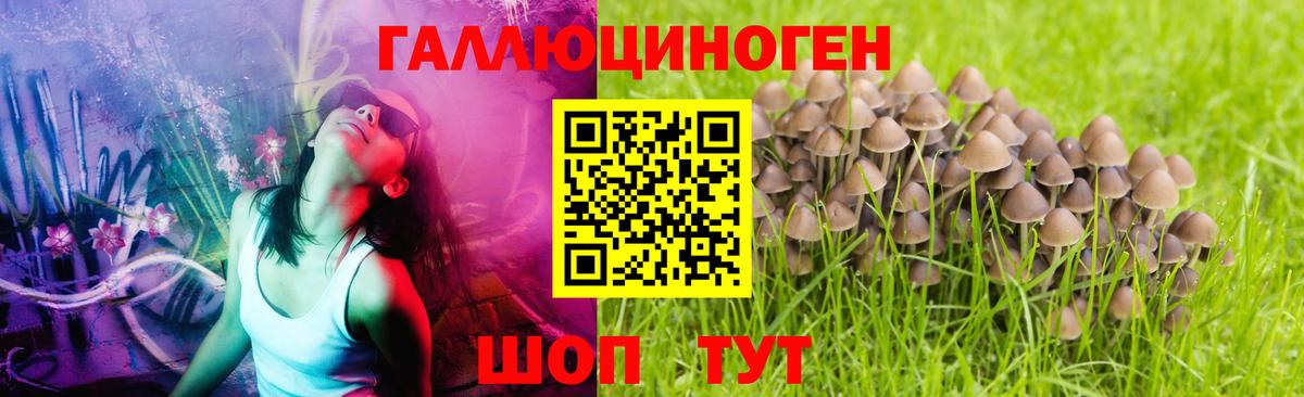 Верхний Уфалей  Галлюциногенные грибы ЛСД  Вход с VPN 